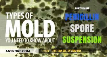 DIY Penicillin Spore Suspension: A Step-by-Step Guide to Homemade Antibiotics