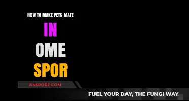 Breeding Pets in Omori Spor: A Step-by-Step Guide for Success