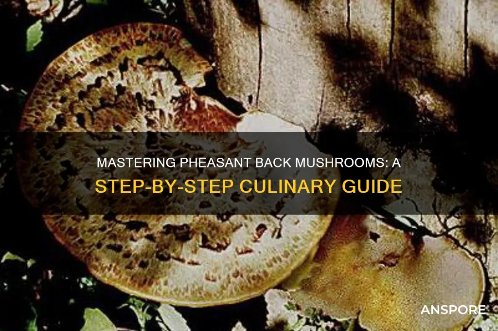 how to make pheasant back mushrooms