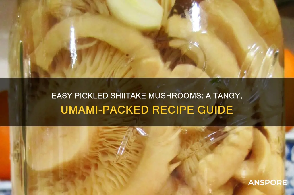 how to make pickled shiitake mushrooms