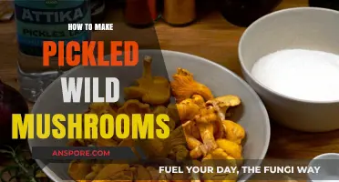 Foraging to Fermenting: A Guide to Pickling Wild Mushrooms
