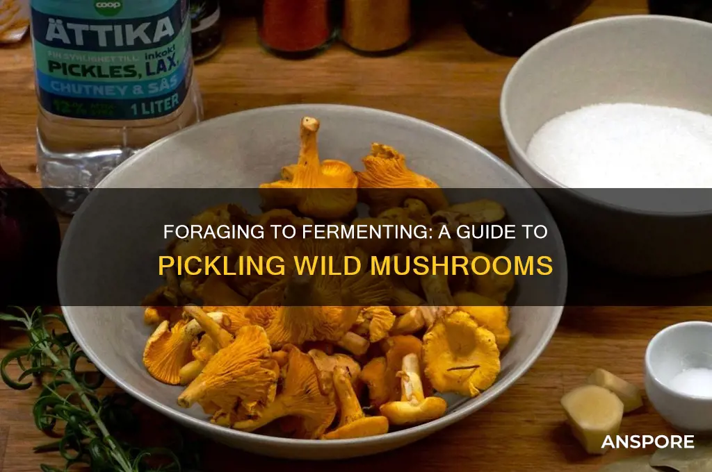 how to make pickled wild mushrooms