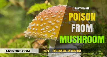 Toxic Fungi: A Guide to Identifying and Avoiding Poisonous Mushrooms