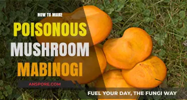 Crafting Deadly Delicacies: Poisonous Mushroom Mabinogi Creation Guide