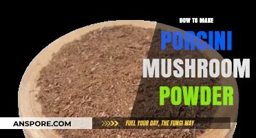 Crafting Porcini Mushroom Powder: A Simple, Flavorful Kitchen Essential