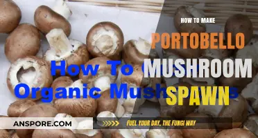 Mastering Portobello Mushroom Spawn: A Step-by-Step Cultivation Guide