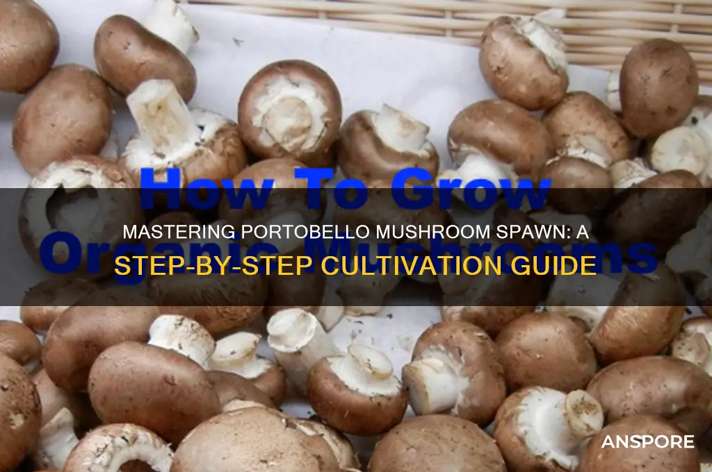 how to make portobello mushroom spawn