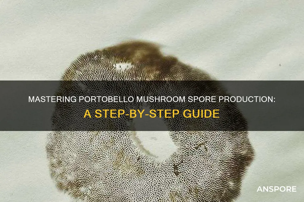 how to make portobello mushroom spores
