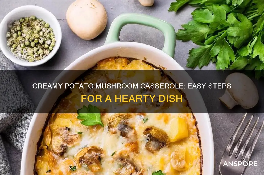 how to make potato mushroom casserole