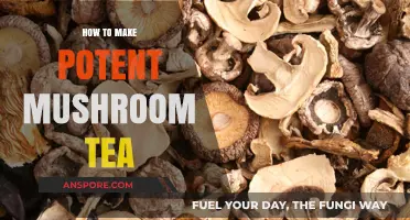 Brewing Bold Mushroom Tea: A Guide to Potent Preparation