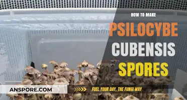 Mastering Psilocybe Cubensis Spore Production: A Comprehensive DIY Guide