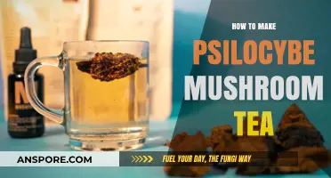 Brewing Psilocybe Mushroom Tea: A Step-by-Step Guide for Beginners