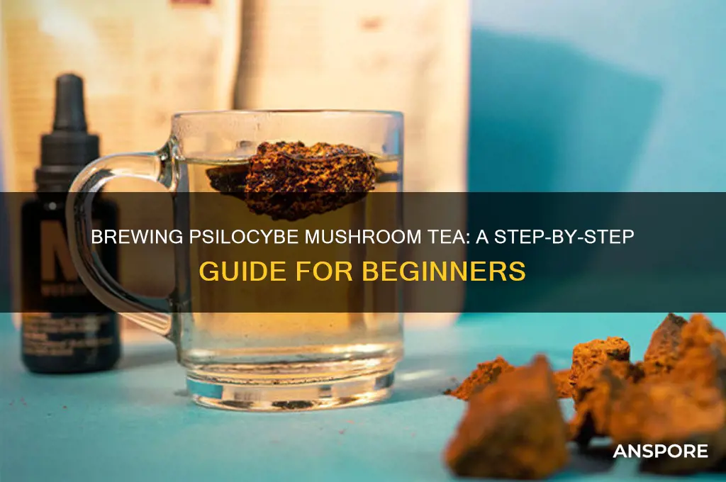 how to make psilocybe mushroom tea