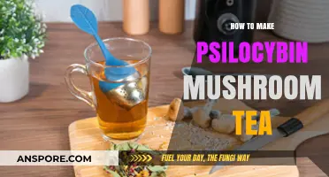 Brewing Psilocybin Mushroom Tea: A Step-by-Step Guide for Beginners