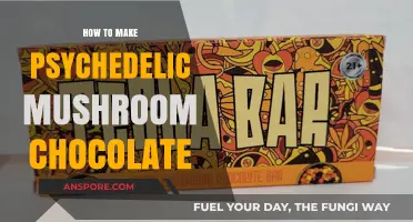 Crafting Psychedelic Mushroom Chocolate: A Step-by-Step Guide to Infusion