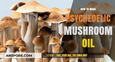 Crafting Psychedelic Mushroom Oil: A Step-by-Step Extraction Guide