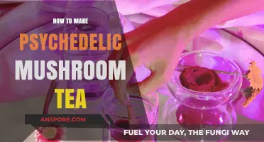 Brewing Magic: A Guide to Crafting Psychedelic Mushroom Tea