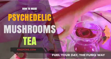 Brewing Magic: A Guide to Crafting Psychedelic Mushroom Tea