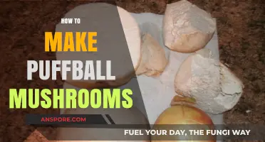 Mastering the Art of Making Delicious Puffball Mushrooms at Home