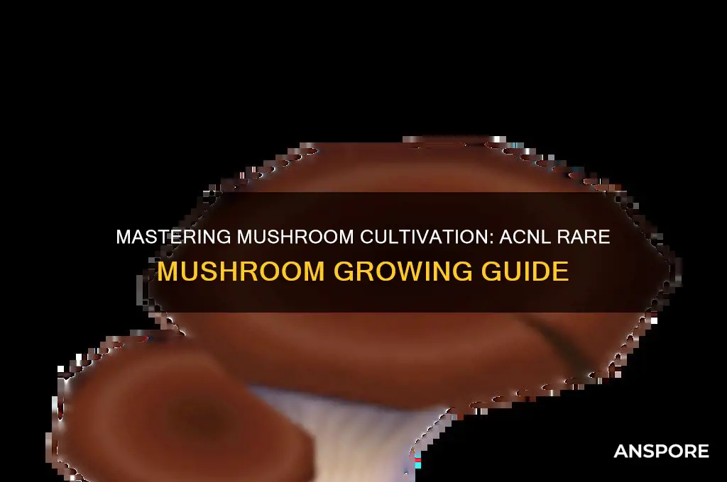how to make rare mushrooms acnl