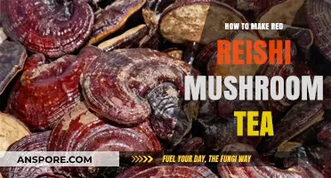 Brewing Red Reishi Mushroom Tea: Simple Steps for Immune-Boosting Wellness