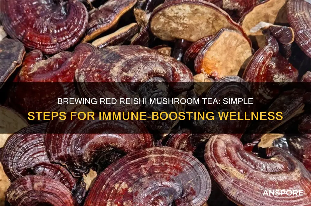 how to make red reishi mushroom tea