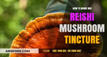 Crafting Red Reishi Mushroom Tincture: A Simple DIY Guide