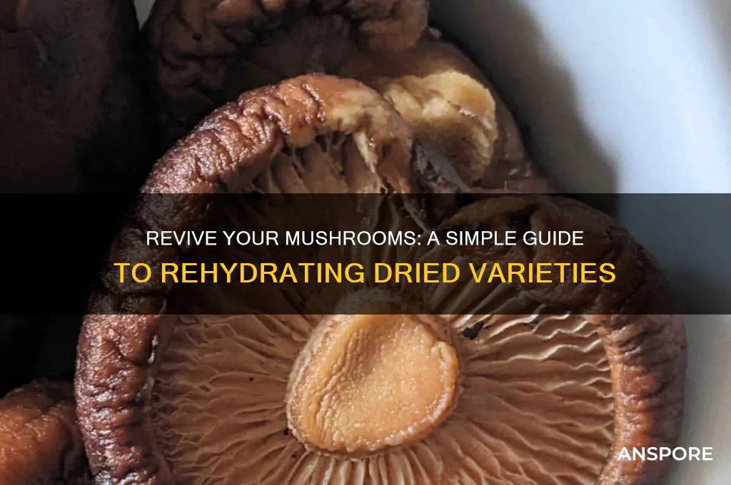 how to make rehydrate mushrooms