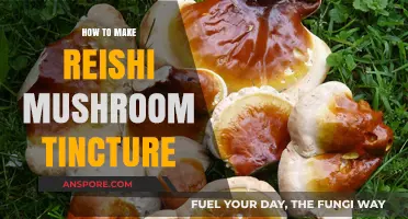 Crafting Reishi Mushroom Tincture: A Simple DIY Wellness Guide