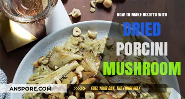 Creamy Porcini Risotto: Mastering the Art with Dried Mushrooms