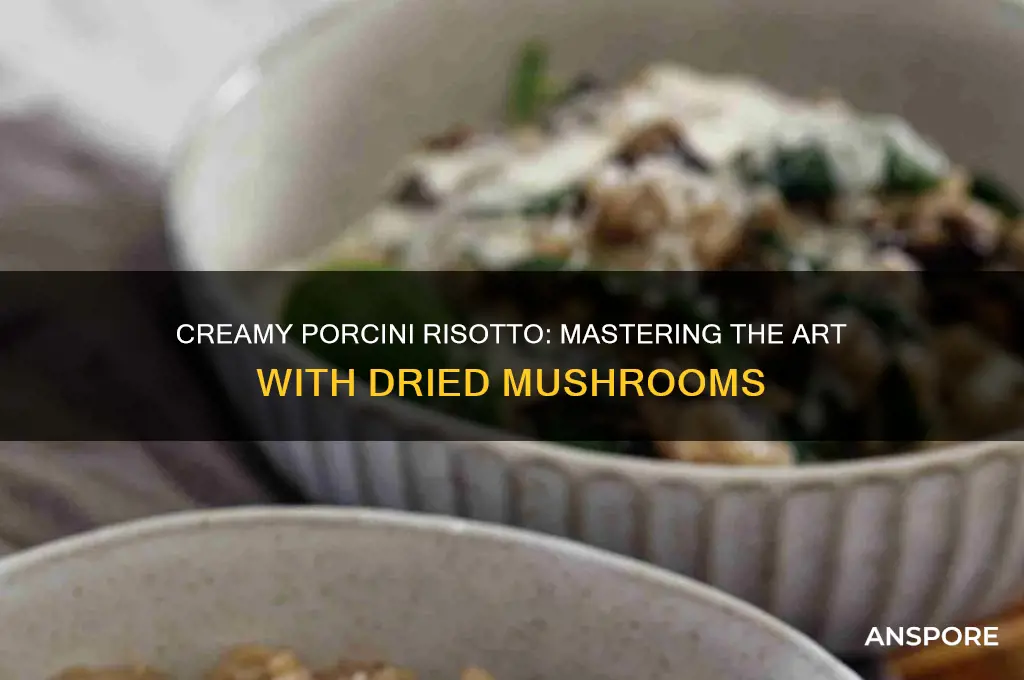 how to make risotto with dried porcini mushrooms