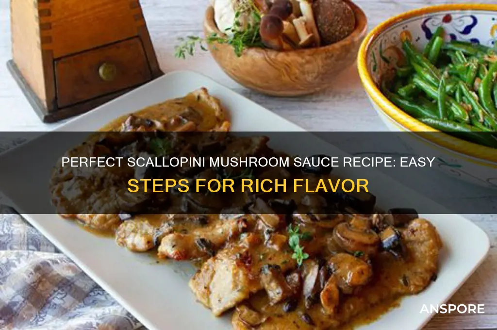 how to make scallopini mushroom sauce