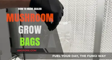 DIY Sealed Mushroom Grow Bags: A Step-by-Step Guide to Success