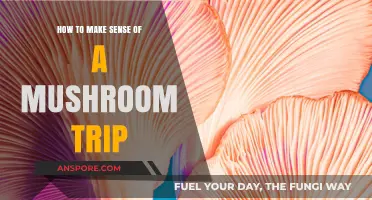 Navigating Psychedelic Realms: Understanding and Processing Your Mushroom Journey