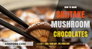 Crafting Shiitake Mushroom Chocolates: A Unique Gourmet Recipe Guide