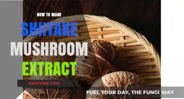 Crafting Shiitake Mushroom Extract: Simple Steps for Immune-Boosting Elixir