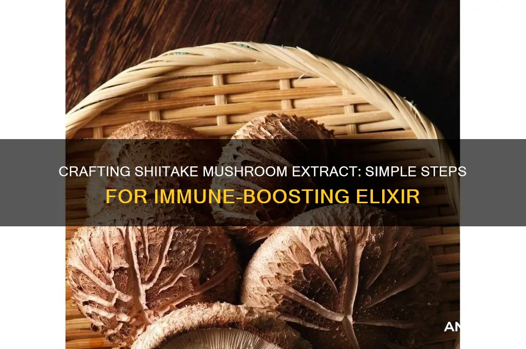 how to make shiitake mushroom extract