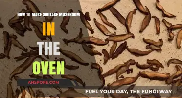 Perfectly Roasted Shiitake Mushrooms: Simple Oven-Baked Recipe Guide