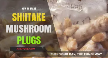 Crafting Shiitake Mushroom Plugs: A Step-by-Step DIY Guide