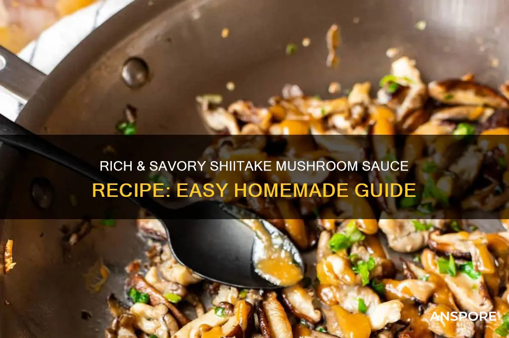 how to make shiitake mushroom sauce