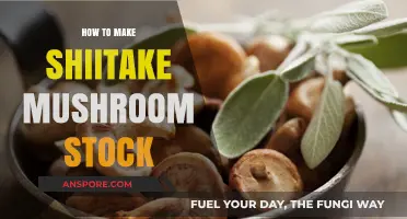 Crafting Rich Shiitake Mushroom Stock: Simple Steps for Umami Flavor