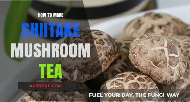 Brewing Shiitake Mushroom Tea: A Simple, Healthy Recipe Guide