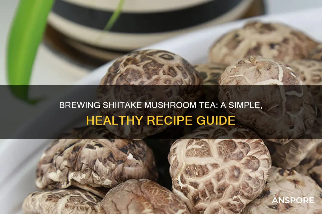 how to make shiitake mushroom tea