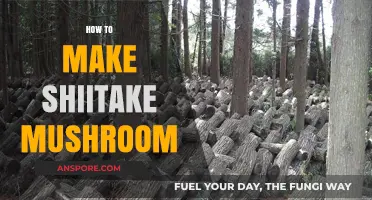 Mastering Shiitake Mushroom Cultivation: A Step-by-Step Growing Guide