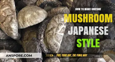 Mastering Japanese-Style Shiitake Mushrooms: Simple, Authentic Recipe Guide