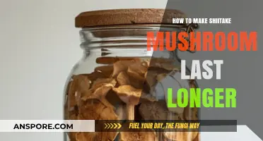 Extend Shiitake Mushroom Freshness: Simple Storage Tips for Longer Shelf Life