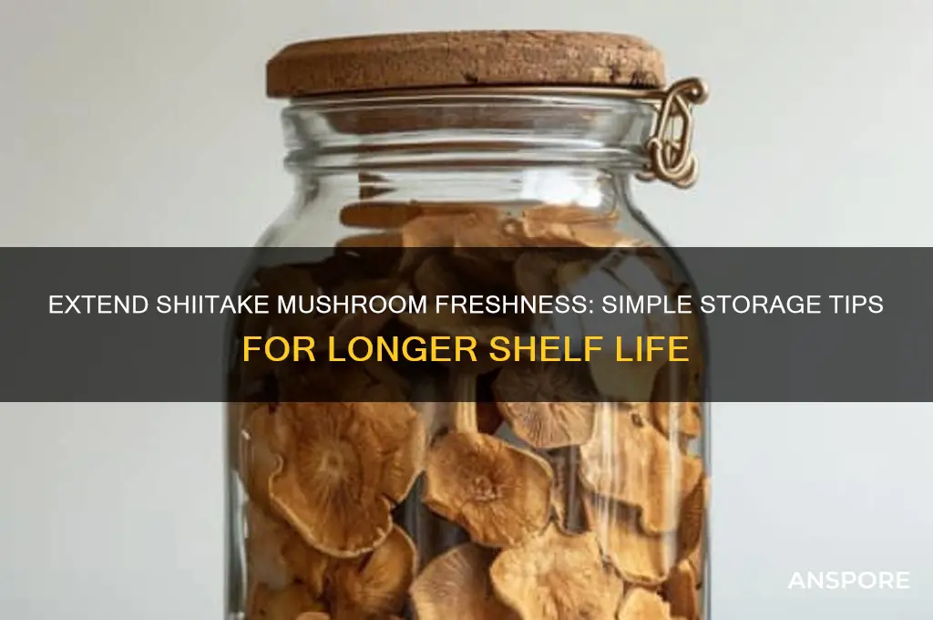 how to make shiitake mushrooms last longer