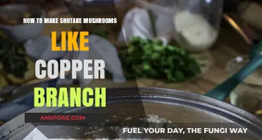 Mastering Copper Branch-Style Shiitake Mushrooms: A Flavorful Recipe Guide