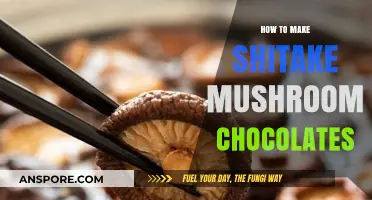 Crafting Decadent Shiitake Mushroom Chocolates: A Unique Gourmet Recipe Guide