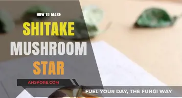 Crafting Shiitake Mushroom Stars: A Simple Culinary Art Guide